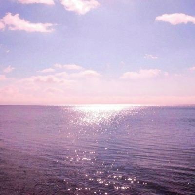 彩神下载手机版