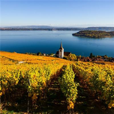 皇冠体育安卓系统