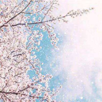 江南体育下载下载手机版