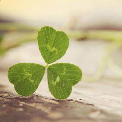 必博手机网页版手机app下载