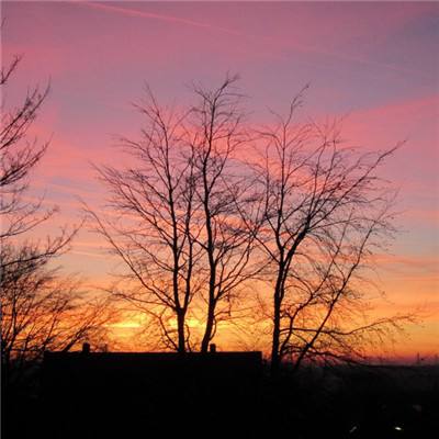 2023年新澳门今晚开特马app下载