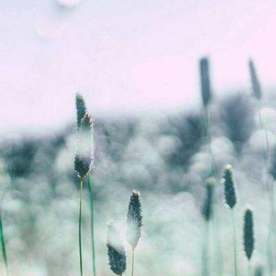 大发dafa888下载手机版