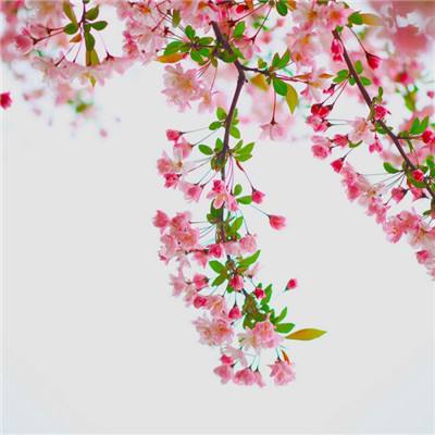 亚搏彩票app注册截图