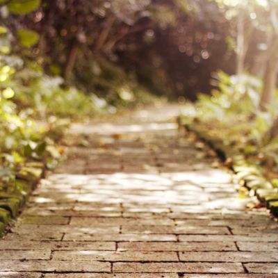 kok在线官网入口